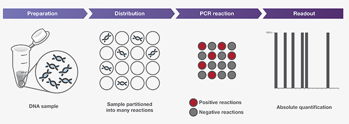 digital  PCR result 的图像结果